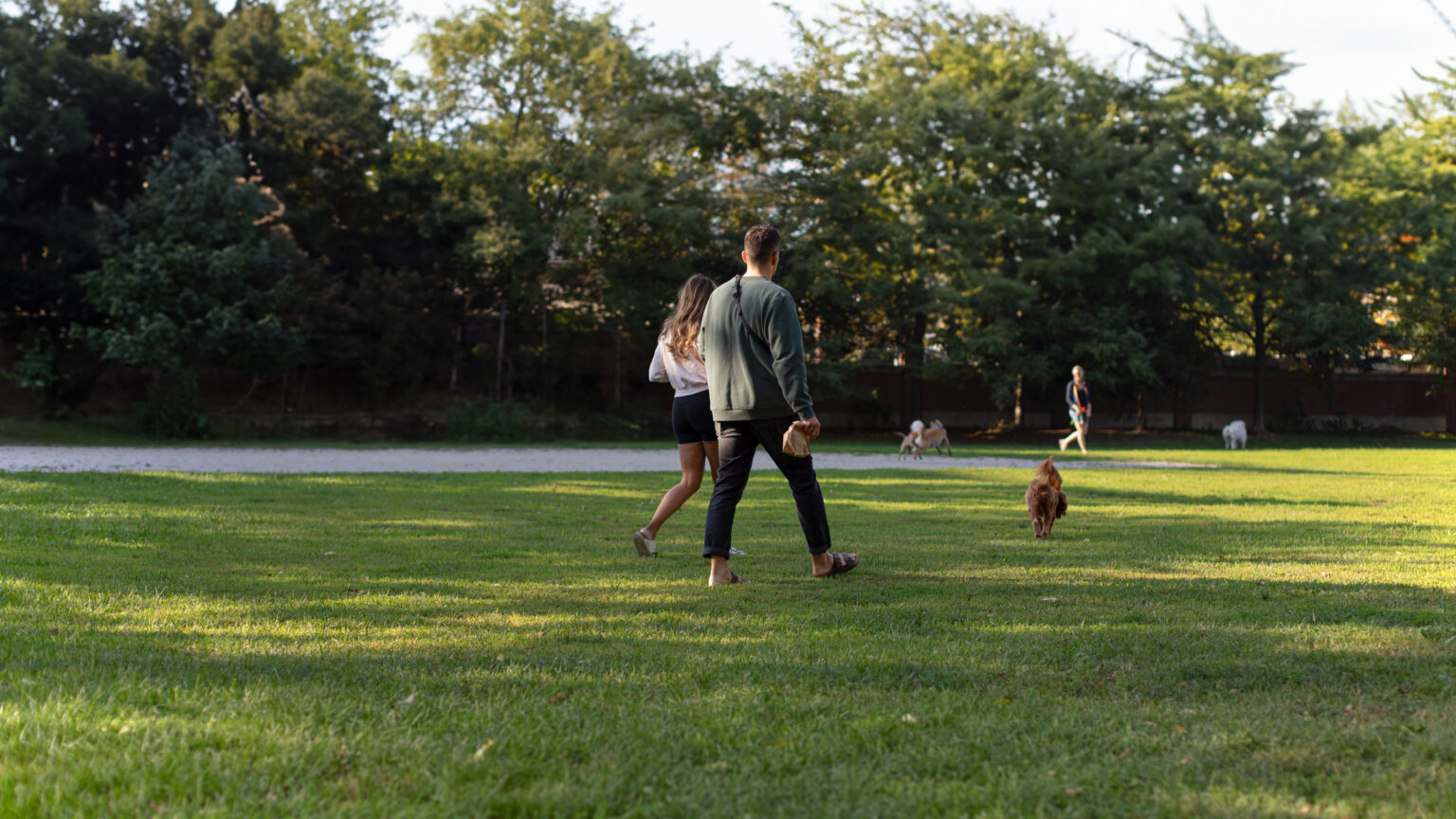 A young couple walks their dog through a lush green park in Toronto's Cactus and Steeles neighbourhood, near Resident's project site